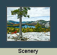 Scenery Gallery